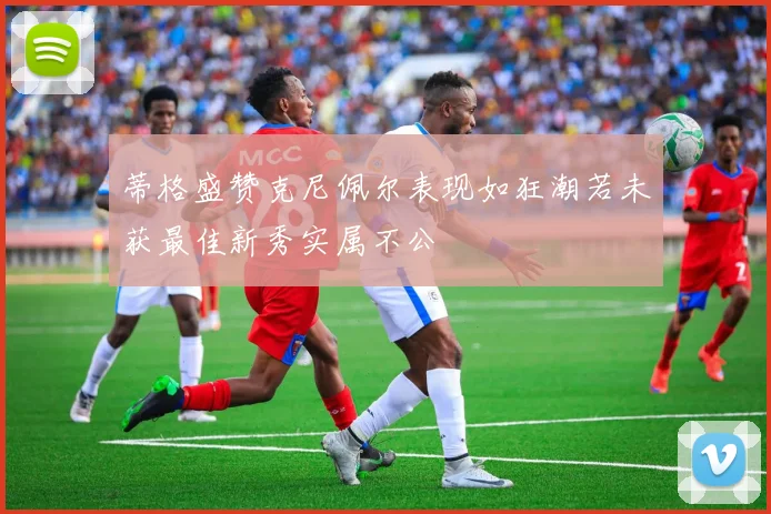 蒂格盛赞克尼佩尔表现如狂潮若未获最佳新秀实属不公